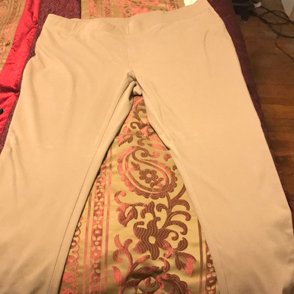 Size 26-28 tan stretchy pants